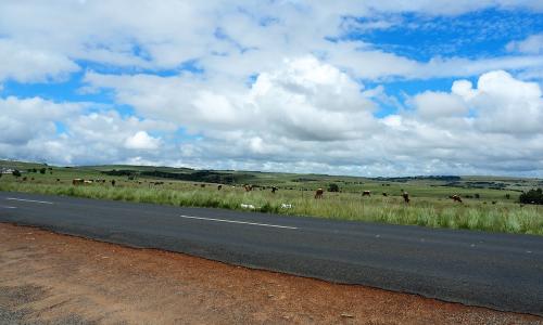 Bilder Südafrika 23 T1 15
